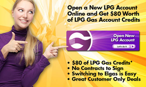 New LPG customers get $80 of gas credits